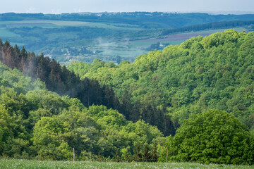 ardennen, eifel, ösling, koppen, mittelgebirge, nebel, wald, wälder, grün, regen, nach regen, tourismus, zu hause, wandern, landschaft