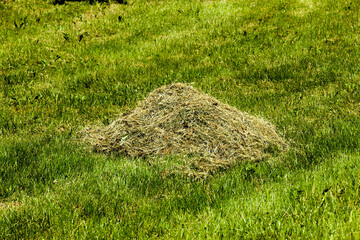 green meadow beveled grass
