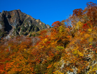 Fototapeta premium 谷川岳一ノ倉沢の紅葉と快晴の青空