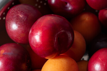 colorful fruits closeup - plum - apricot