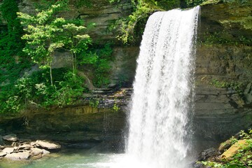 Nature, landscape, waterfalls, cumberland plateau, TN, flower, trees