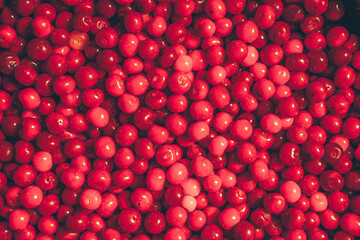 group of red cherries