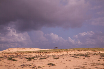 Jegue em paisagem de dunas e c&eacute;u com nuvens