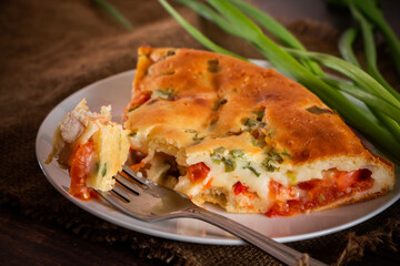 Homemade pie with chicken, herbs and tomatoes on a plate.