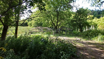 Framework of a Native American Sweat Lodge. in Ontario, Canada.