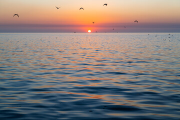 Majestic sunset with overflying seagulls in blur motion by the Gulf of Mexico, Campeche City,...