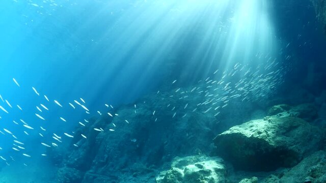 sun rays sun beam sun shine underwater fish around waves on rocks white foam slow relaxing  ocean scenery