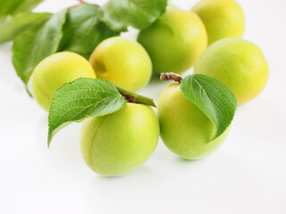 葉のついた青梅を白背景で
