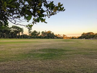 An afternoon in the park