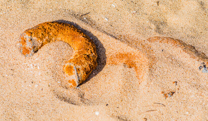 Rusted pipe in the sand