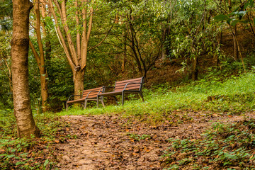 Two park benches under tress