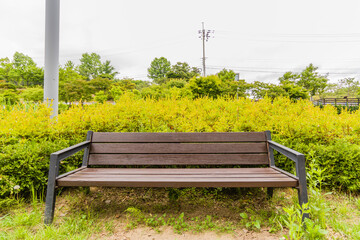 Closeup of wooden park bench