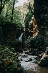 waterfall in the forest