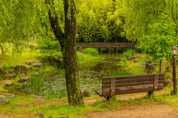 Fototapeta na wymiar Wooden park bench next to pond.