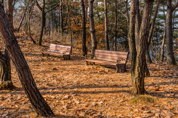 Two wooden park benches