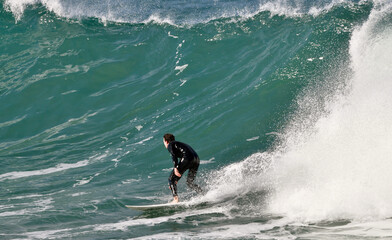 Fototapeta premium Surfing at Dee Why Beach on Sydney's north side