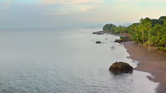 Sandy beach of the Pacific Ocean with palm trees in Choco, Colombia, near Nuqui, drone aerial view above the shore