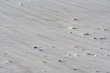 Shell Created Sand Drifts