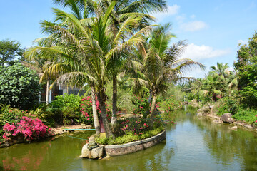 Coconut trees planted on the small island in the middle of the lake