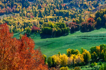 Hemu village in Kanas Nature Reserve, Xinjiang, China