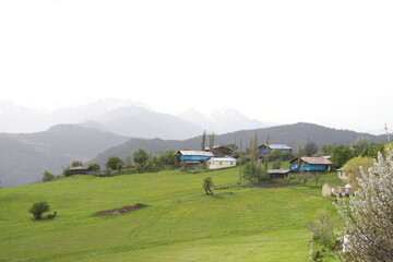architecture, background, black forest, countryside, destination, distant, ecology, environment, escape, farming, field, germany, green, hiking, landscape, meadow, mountains, nature, outdoor, outdoors