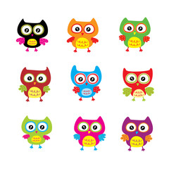 Obraz premium cute colorful owl vector design