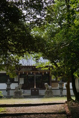 Old Japanese shrine, sacred building in the...