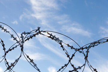 barbed wire