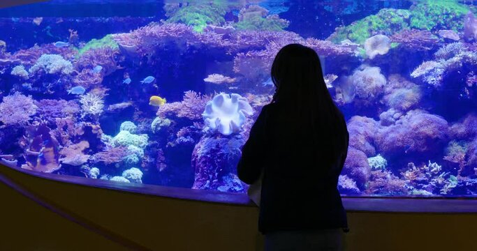 Woman visit aquarium at zoo park