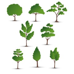Collection green trees. Isolated on white. Vector illustration EPS10. 