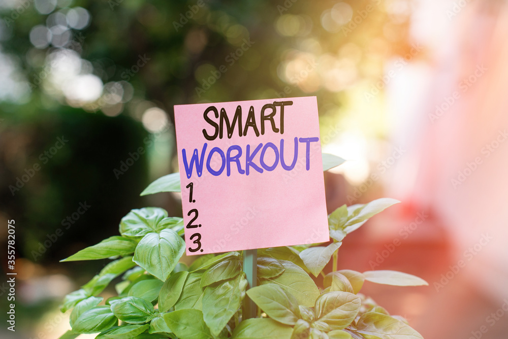 Poster text sign showing smart workout. business photo showcasing properlydesigned exercise to maximize the