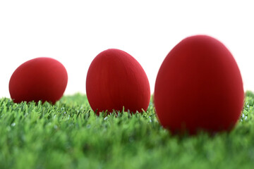red easter egg on lawn green grass artificial with blank white background