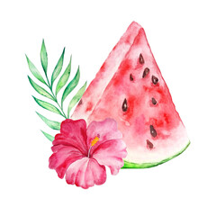 watercolor tropical exotic fruit watermelon with pink flower