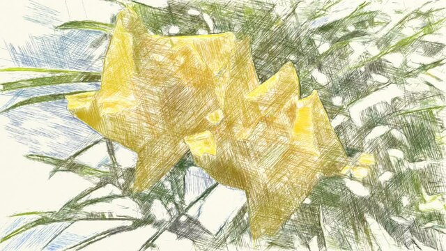 drawing color of yellow flower