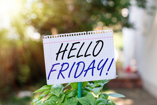 Text sign showing Hello Friday. Business photo showcasing Let the weekend begins and time to relax and celebrate Plain empty paper attached to a stick and placed in the green leafy plants