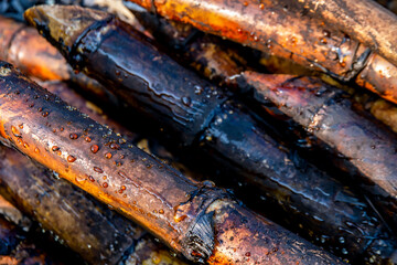 pile sugarcane burned in the harvest season, sugar cane fresh, sugarcane burn in field, sugar cane burned in plantation