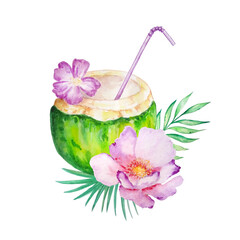 watercolor tropical exotic fruit green coconut with purple flower