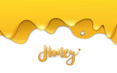 Floor Honey Drops on a White Background. Vector Illustration