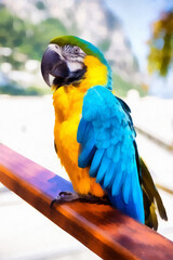 Watercolor illustration of a colorful tropical parrot.