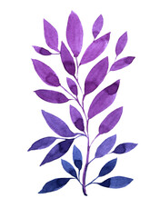 Watercolor blue and purple branch with leaves flower isolated on white background. Art creative hand-drawn object for sticker, florist, wrapping, wallpaper, textile, card.