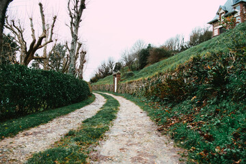 Obraz premium An old green lane in Normandy with shrub fences
