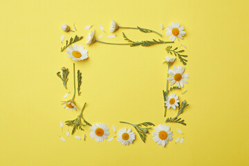 Frame made with fresh chamomiles on yellow background. Space for text