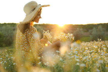 Woman with straw hat and handbag full of chamomiles resting in meadow