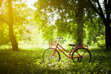 Fototapeta na wymiar Vintage bicycle. Bicycle in green grass.