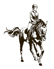 horse riding monochrome illustration on white background. racing or jumping show, equestrian theme drawing