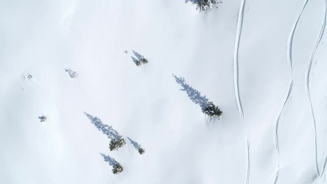 Winter landscape from above, aerial of trees and ski slopes in the alps. Ski tracks in the deep snow. Aerial view of winter landscape.