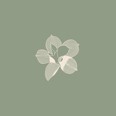 Illustration of a flower, hand drawn magnolia, line art