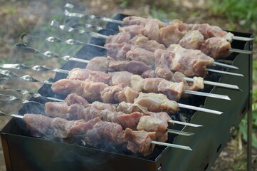 pieces of raw meat on 10 skewers are grilled on the grill on a summer day