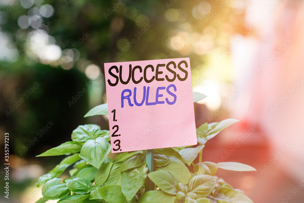 Poster text sign showing success rules. business photo showcasing established ways of setting goals making 