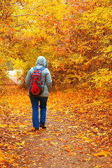 Fototapeta premium Young woman with bagpack walking in autumn park